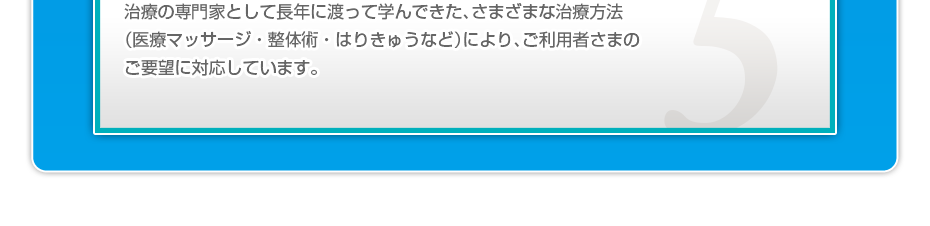 治療の専門家として長年に渡って学んできた、さまざまな治療方法（医療マッサージ・整体術・はりきゅうなど）により、ご利用者さまのご要望に対応しています。